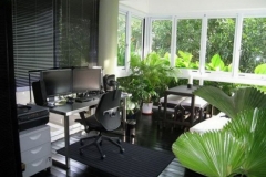 indoor-plants-in-the-office