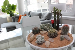 modern-indoor-plant-ideas-Cactus-600x399
