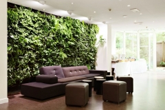 3-green-leafy-wall