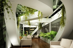 Interior-Plants