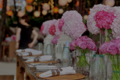FoliageExpressions_events-01