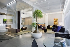 Pet-Safe-House-Plant-Ideas_mini-1