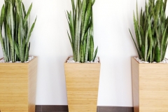 garden-design-beautiful-interior-room-d-377-doors-indoor-t-pot-as-wells-as-plants-dress-up-too-interior-decorations-picture-modern-indoor-flower-pots-970x861