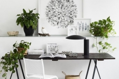 minimalist-home-office-with-indoor-plants