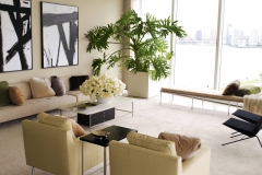 slider_image2