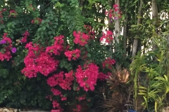 landscapedesign (17)