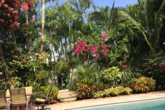 landscapedesign (18)