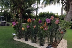 landscapedesign (19)