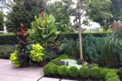 landscapedesign (24)