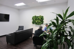 office-flower-in-office-flower-pots-living-wall-decorations-interior-photo-modern-indoor-flower-pots