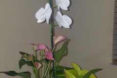 20170203_225312