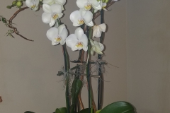 20170203_225753